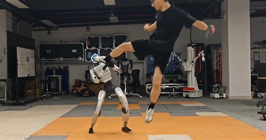 Unstoppable Martial Arts Robot Can Take a Direct Dropkick Without Falling Down