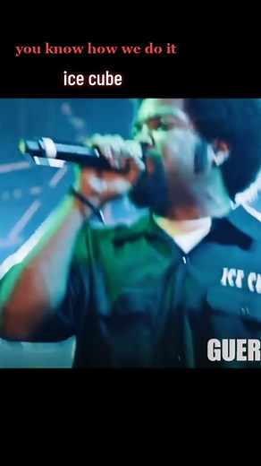 Ice Cube Live Concert Performance - You Know How We Do It