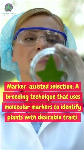 Marker assisted selection #scienceeducation #cellularprocesses #biologylearning #biologyeducation