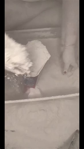 ASMR Ajax Powder Play Highlights