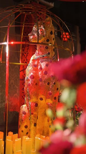 A New Knot • Weddings & Events on Instagram: "For us, wedding planning is never static. It’s design in motion….a high-energy journey of decision-making, coordination, and creative precision that builds momentum with every step. One where ideas evolve, details sharpen, and every moving part is aligned with intent. This phase is about momentum bold reds, jungle influences, and the quiet power of big cats setting the tone. Each decision is timed, layered, and executed to bring the vision to life ex