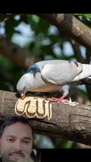 Instagram video by Mahtab Alam • Feb 7, 2026 at 9:52 AM