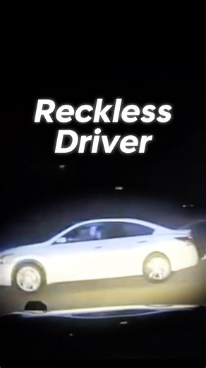 Man Gets Bit And Tased