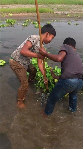 Extreme Fish Catching Challenge in Deep WaterTraditional Fish Catching in Rural Bangladesh