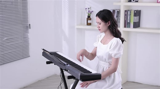 Portable 88-Key Professional Piano Music Keyboard Instrument Electronic Organ
