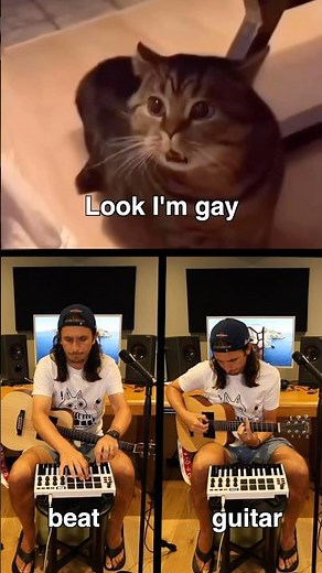 Why are you gae? 😹😹