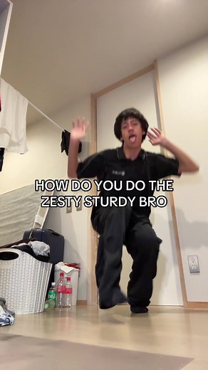 Zesty Sturdy Dance Tutorial: Step-by-Step Guide