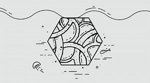 Living Seawall Projects