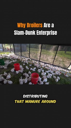 2.3K views · 16 reactions | Jordan Green, the King of DIY Farming,...