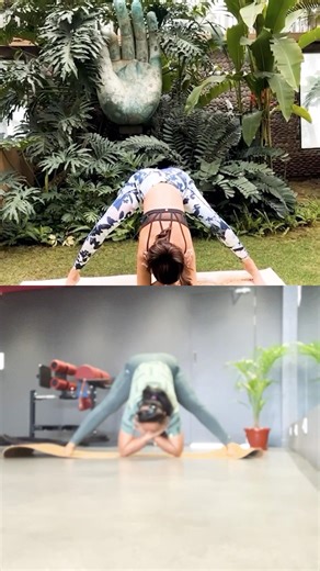 Legs Wide, Ego Down 😏 Yoga Challenge| prasarita paddotanasana pratirupam #shorts #yoga