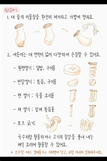 버섯슬기롭게먹는법 - 새송이