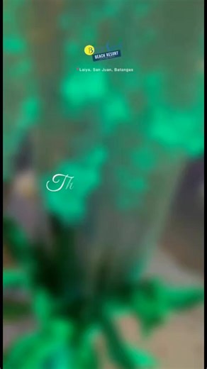 51K views · 49 reactions | DIVE INTO LOVE  A new chapter of a love story straight out of a movie - unfolding before the sandy shores and pristine sea. Come and create your own unforgettable memories at Blue Coral Beach Resort. Book your dream romantic getaway today. For reservations you may contact us at: : bluecoralbeachresort@gmail.com : (02) 8 567 4376 / (02) 8 559 9747 / (02) 8 559 9754 Viber: 0917 676 9146 Globe: 09157123100 | Blue Coral Beach Resort Laiya | Facebook