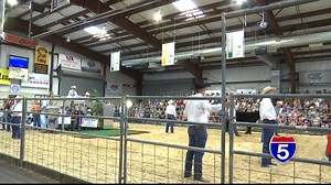 6.5K views · 60 reactions | Buyers and sellers filled Olsrud Arena At The Expo, Jackson County Fairgrounds, Oregon Saturday night for the steer and poultry auction. Infinity Electrical | KOBI-TV NBC5 | Facebook
