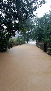"Baha sumalakay sa isang barangay. Mga pamilya nangangailangan ng tulong at pag-asa. Isang tawag para sa pagkakaisa at suporta 🙏" #BahaSaBarangay #BicolBaha #helpourbarangay #TuacaFlood #FloodReliefsPH | Rodolfo Villaflores