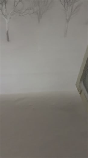 今日はすごい吹雪で学校から帰って家の前除雪して家の中に入ったらなんかすごい風の音。恐らく犯人はポンコツなお兄ちゃんの部屋かと思ったら母と父の寝室で人間は予期せぬ出来事が起きると滑舌がワヤになります。 皆さん窓の戸締りと社会の窓の戸締りはしっかりと💕 #今日はなまら吹雪 #予期せぬ事態 #雪かきめんど臭い #それでも北海道愛してる #雪はやべーだろ