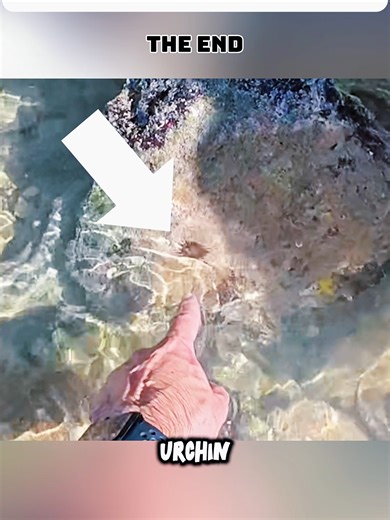 Part 3 #thefishguys #fishing #livefish #mysterybox #vlog