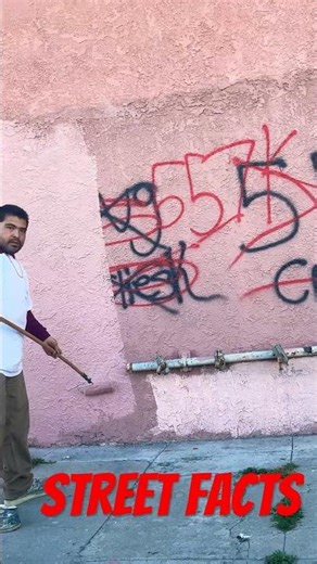 54 Van Ness Gangsta Brims vs. 55Crips April 2024 | South LA Hoods