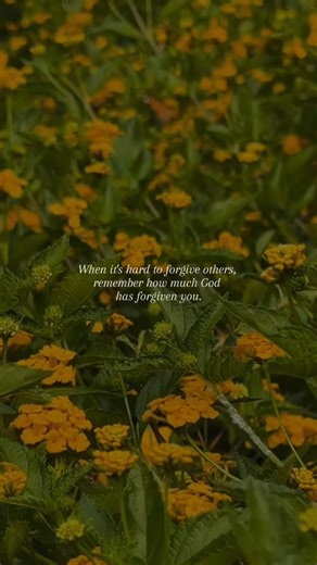 987 reactions | In Matthew 18:21–35, Peter asks Jesus how often we...