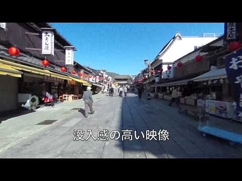 バーチャルリアリティ観光体験/Virtual Reality Sightseeing