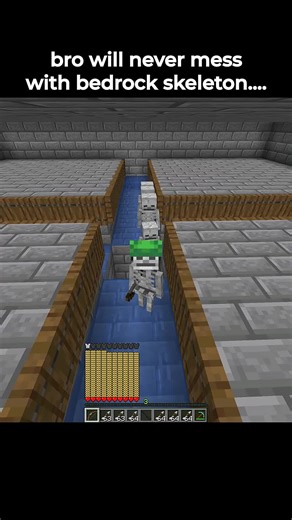 bro will never mess with bedrock skeleton #minecraft | minecraft game
