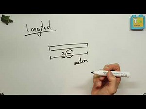 Diferencia entre magnitud escalar y vectorial