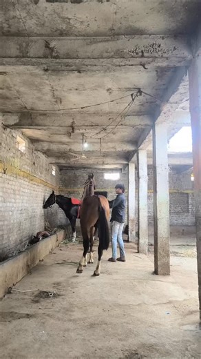 Instagram video by Rushabh Paul • Feb 7, 2026 at 11:02 AM