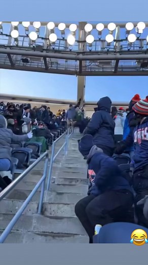 The hardest hit in the Bears vs Eagles game…Maybe it’s a Packers fan…😂 #Packers #bearsofinstagram #NFL #FacebookReelsContest | Ryan Daniel