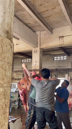 Professional Beef Processing in Karachi | Slaughterhouse Hard Work #shorts