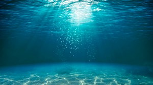 The World Bank: Strengthening Capacity on Ocean Governance