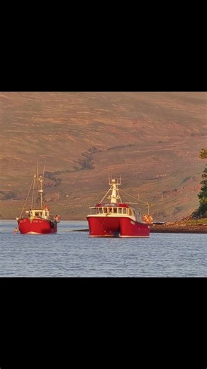 Exploring Life on the Isle of Mull: Fishing Adventures