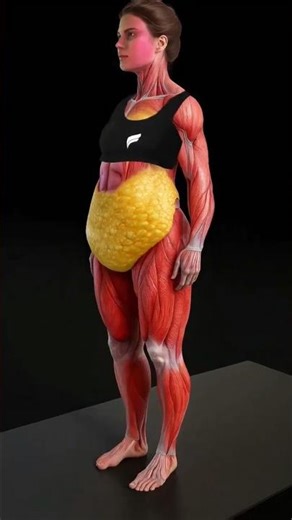 3 Home Workouts to Lose Belly Fat