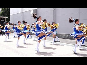 [チア/Cheerleading]チアリーディングパフォーマンス1/Cheerleading Performance(2022/04/23)[4K 30FPS/α6600]