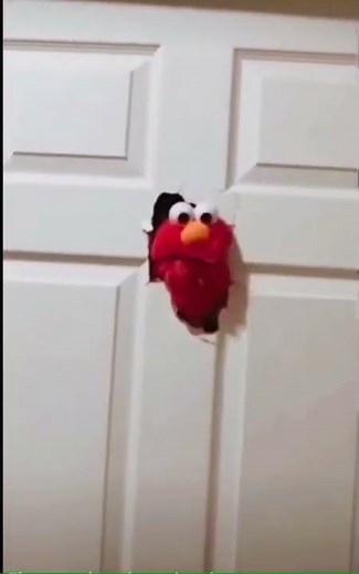 What the hell is up with this door elmo meme