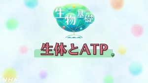 生体とATP | 生物基礎 | 高校講座