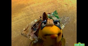 Sesame Street: Song: Love the Ocean