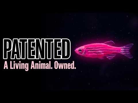 Why Your GloFish Glows (And Why It Shouldn't Exist)