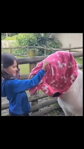 Little Bluey and his pajamas 🦄😍 | The Pony Pals Family Storybooks