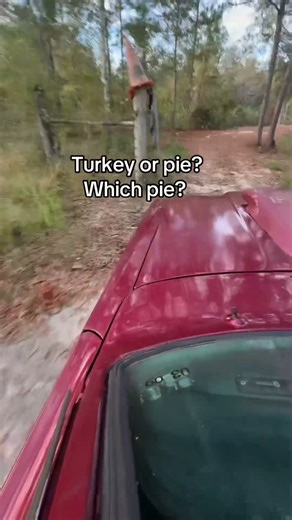 Check out the test drive video