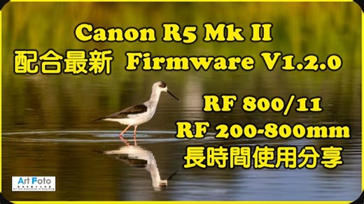 【繁中字幕】佳能R52 配合最新固件 V1.2.0，RF800_11及RF200-800mm长时间使用分享
