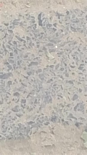 Vidéos de Sénégal bou nekh (@dakar.best0) avec son original - Saf koye mane Kate