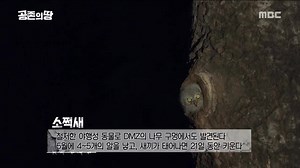 2.1K views · 88 reactions | ‏لي مينهو كـ مقدم في البرنامج الوثائقي...