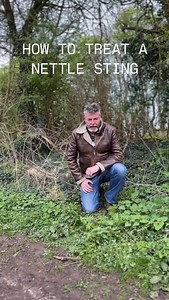5.5K views · 776 reactions | So how do you soothe a #nettle #sting ? #Dockleaves or #Plantain I enlisted the help of my youngest son Raffy in order to put this to the test! #Plantain is the clear winner as, of course, it contains natural #antihistamines . . . . #naturalremedies #naturalmedicine #stings #bites #stingingnettles #firstaid #wildplants | Eat The Country | Facebook