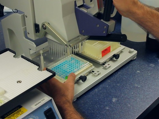 Scalable High Throughput Selection From  Phage-displayed Synthetic Antibody Libraries
