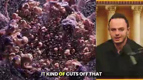 🚨BREAKING: Largest Real-World Study of Ivermectin + Mebendazole in Cancer Patients Shows 84.4% Clinical Benefit — Nearly HALF Report Cancer Disappearance or Tumor RegressionAfter just 6 months, 48.4% of cancer patients taking ivermectin and mebendazole reported NO EVIDENCE OF DISEASE (32.8%) or tumor regression (15.6%), while 36.1% reported disease stabilization⬇️We have completed the largest real-world human analysis to date evaluating ivermectin and mebendazole in cancer patients—and the resu