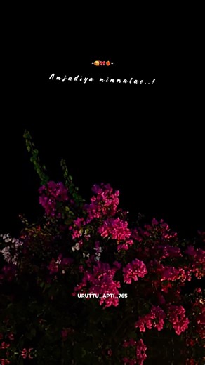 𝗝𝗼𝗱𝗶 𝗣𝗼𝗿𝘂𝘁𝗵𝗮𝗺 ✨ | 𝗥𝗶𝗼 𝗥𝗮𝗷 | 𝗦𝗶𝗱𝗱𝗵𝘂 𝗞𝘂𝗺𝗮𝗿 #lovestatus #blackscreen #tamilwhatsappstatus #tamillyrics
