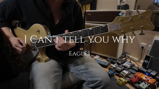 【I Can't Tell You Why】Solo Cover