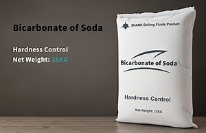 [Hot Item] Sodium Bicarbonate (NaHCO3) in Drilling Fluids Additive, Bicarbonate Soda