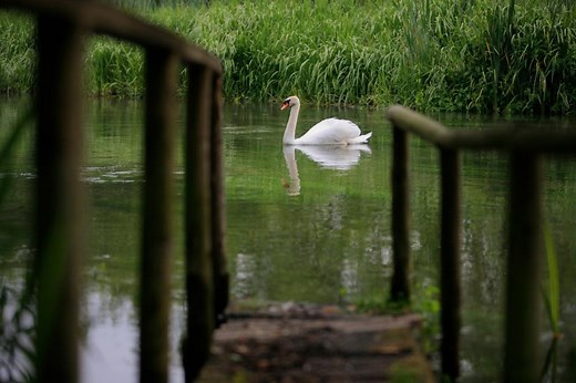 UK rivers and chalk streams