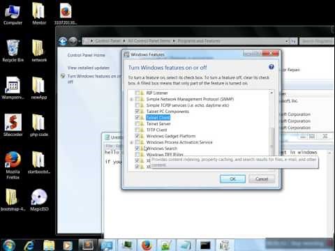 How to turn on Telnet ( Client / Server) on Windows