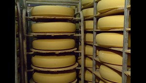 Impulsprogramm Pacer